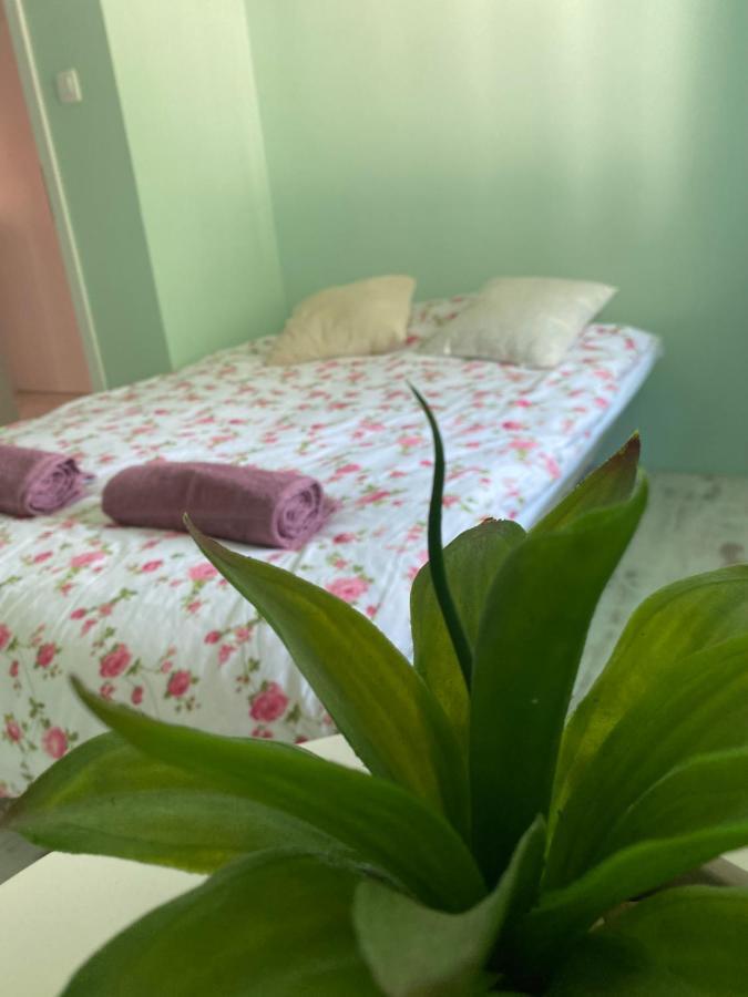 Hisa Megiclinic - Apartments & Healing Center Kobarid Extérieur photo