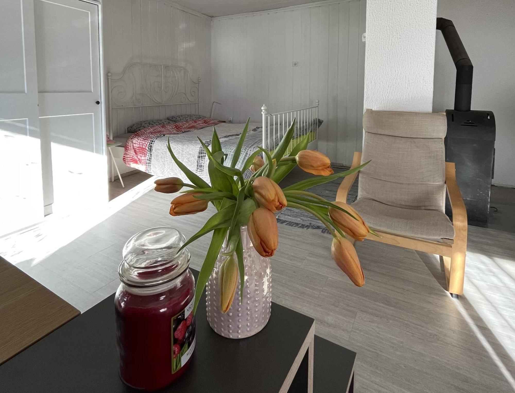 Hisa Megiclinic - Apartments & Healing Center Kobarid Extérieur photo